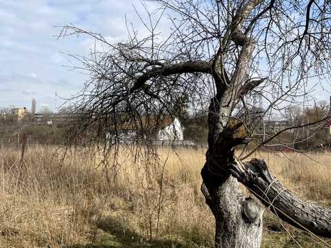 ділянка за адресою Чкалова, 101