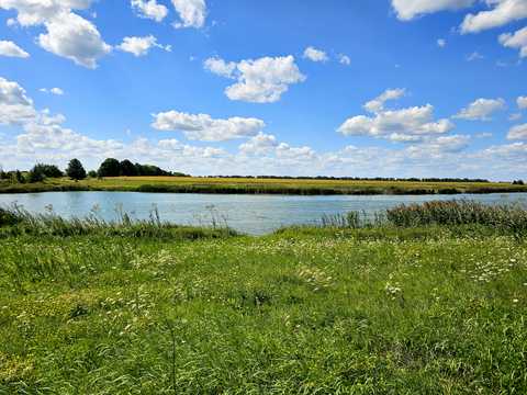 ділянка за адресою с. Бирлівка,