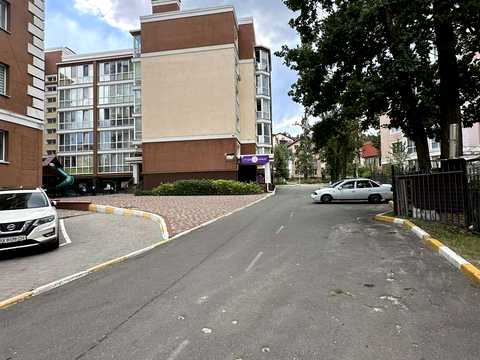 участок по адресу Академіка Ромоданова ул. (Льва Толстого), 48