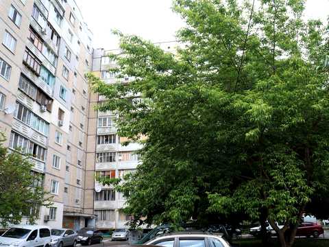 квартира за адресою Київ, Тростянецька вул., 8-Б