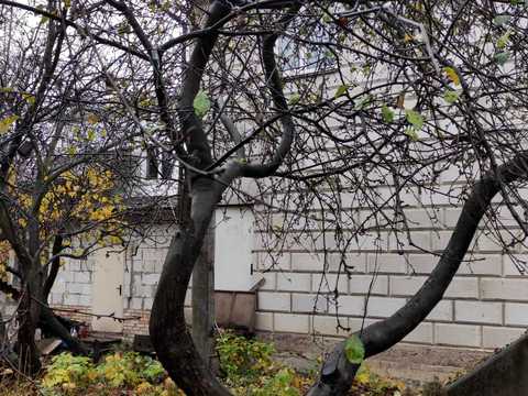 ділянка за адресою Товарна вул., 53