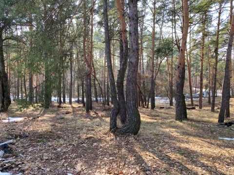 ділянка за адресою Лугова
