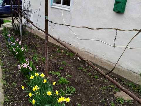 будинок за адресою Центральна