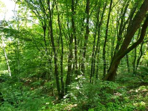 участок по адресу Краматорский пер.