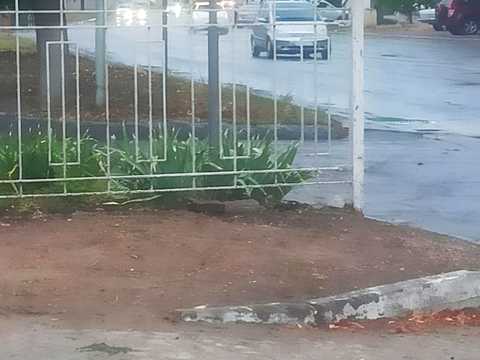 коммерческая по адресу Генерала Петрова ул. (Генерала Петрова), 65