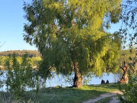 ділянка за адресою Озерна вул.