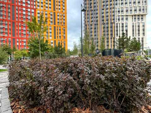 квартира за адресою Столичне шосе, 3