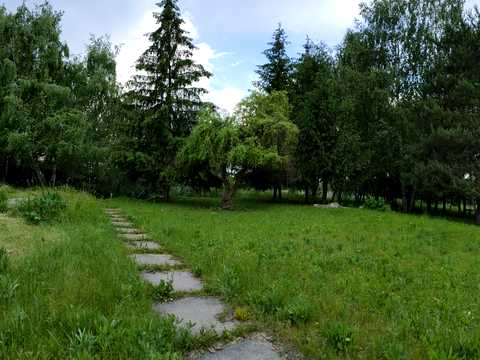 ділянка за адресою Центральна вул., 777