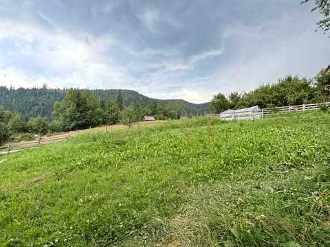 будинок за адресою с. Поляниця, Карпатська, 1