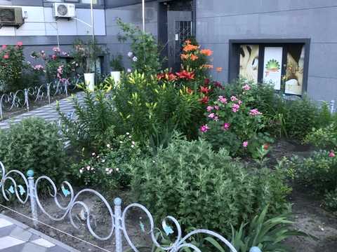 квартира за адресою Завальна вул., 10-Г