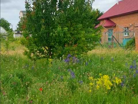 ділянка за адресою Кропивницький, Вербицького вул., 14