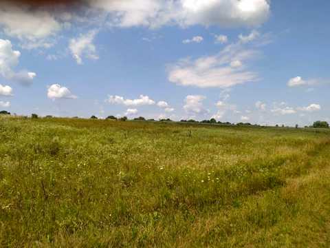 участок по адресу с. Червоная Чагаровка,