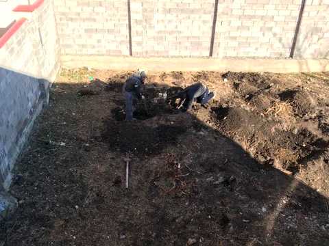 дом по адресу Царское село-2