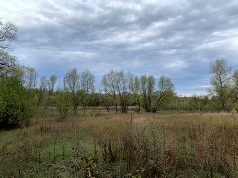 ділянка за адресою с. Новоселівка,