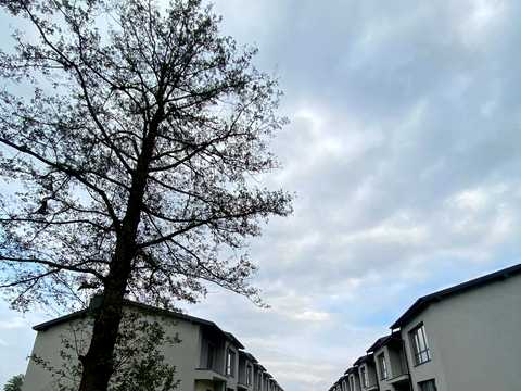 будинок за адресою Івано-Франківськ, Січинського вул.