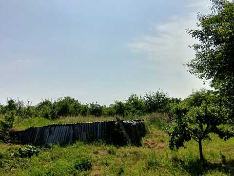 ділянка за адресою с. Кам'янопіль, Грушевського, 1