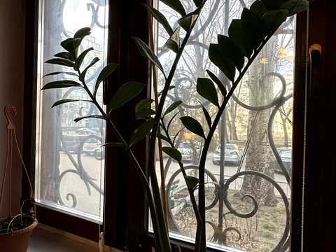 квартира за адресою Прогресивна вул., 10