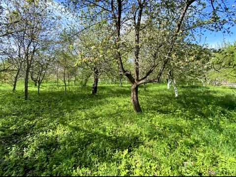ділянка за адресою Підлісна, 15а