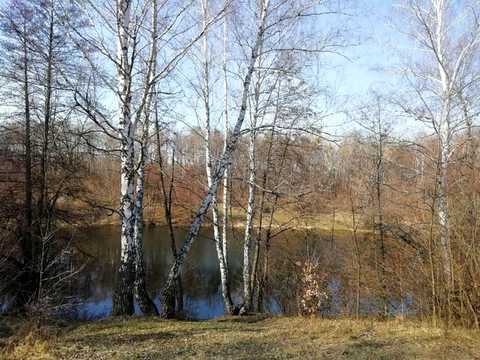 будинок за адресою смт. Хорошеве, весела