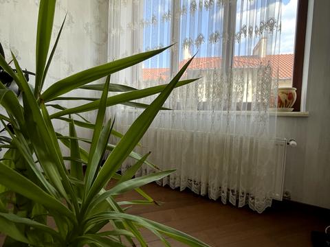будинок за адресою Сергія Єфремова вул. (Академіка Вавілова)