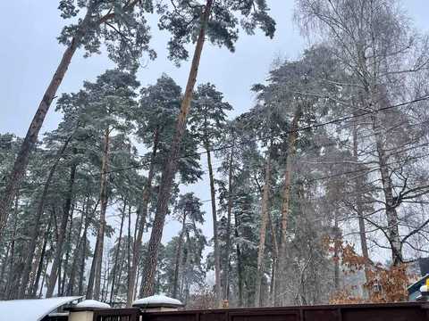 дом по адресу Бічна Львівська ул., 29
