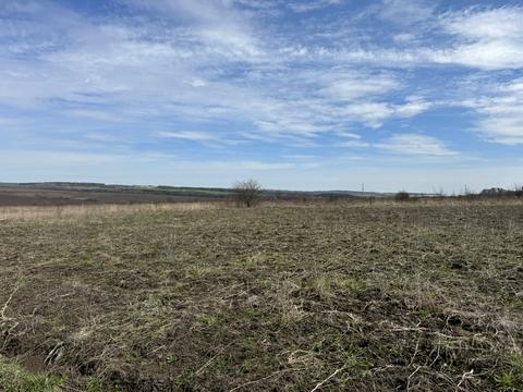 ділянка за адресою с. Лісові Гринівці, 