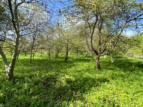 ділянка за адресою Підлісна, 15а