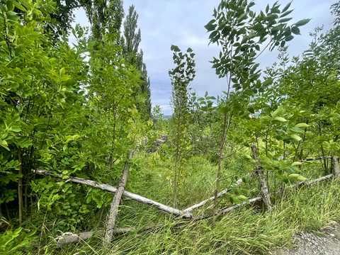 ділянка за адресою Звенигородська, 101-А