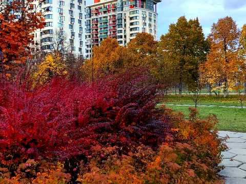 квартира за адресою Юлії Здановської вул. (Ломоносова), 71-З