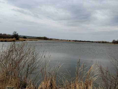 ділянка за адресою с. Колесникове, Лісова