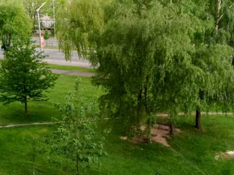 квартира за адресою стрийський, 57