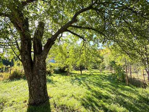 дом по адресу Колейная ул. (Воронина), 141