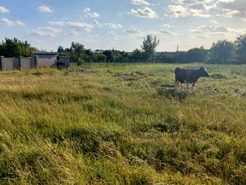 участок по адресу новоселів