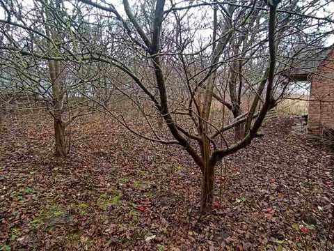 дом по адресу Фельштинська ул., 17