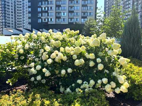 квартира за адресою Осокорська вул., 2-А