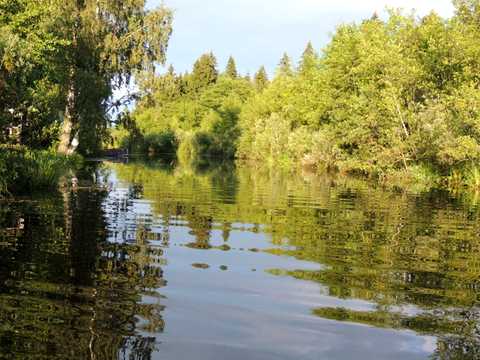 ділянка за адресою Озерна