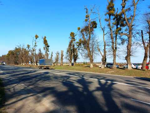 участок по адресу Хмельницьке шосе