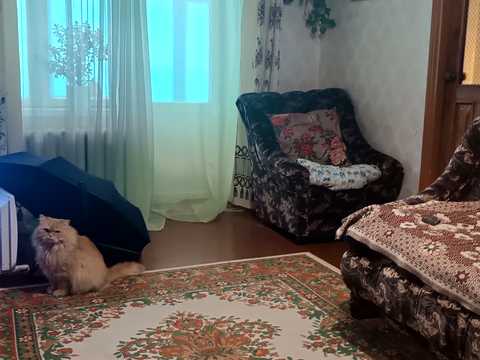 квартира за адресою Харківська вул., 30