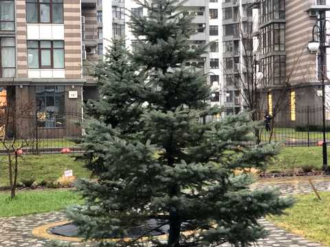 квартира за адресою Кахи Бендукідзе вул., 2