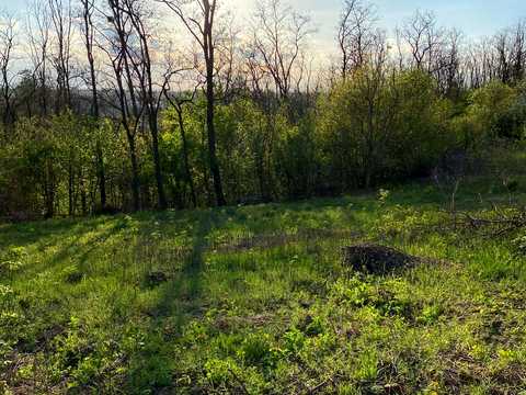 ділянка за адресою Лісова