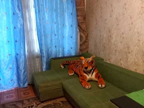 квартира по адресу 1-ї Танкової Бригади ул. (Генерала Бєлова), 20