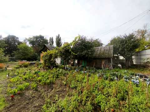 дом по адресу Циолковского ул. (Ціолковського), 8