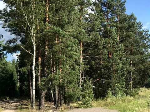 участок по адресу 