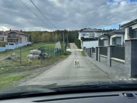 участок по адресу Джерельна
