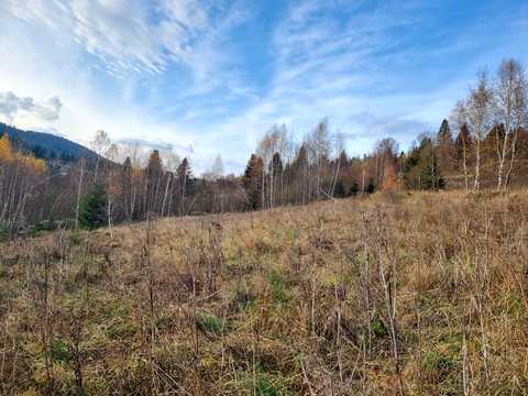 участок по адресу Князя Святослава ул.
