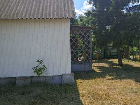 ділянка за адресою Маслівка вул.
