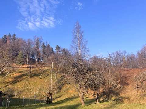 дом по адресу Лесі Українки