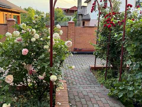 будинок за адресою с. Пухівка, Травнева