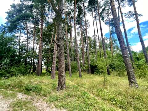 будинок за адресою Лісова вул., 44