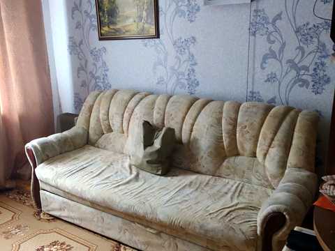 квартира по адресу Большая Панасовская ул. (Котлова), 34
